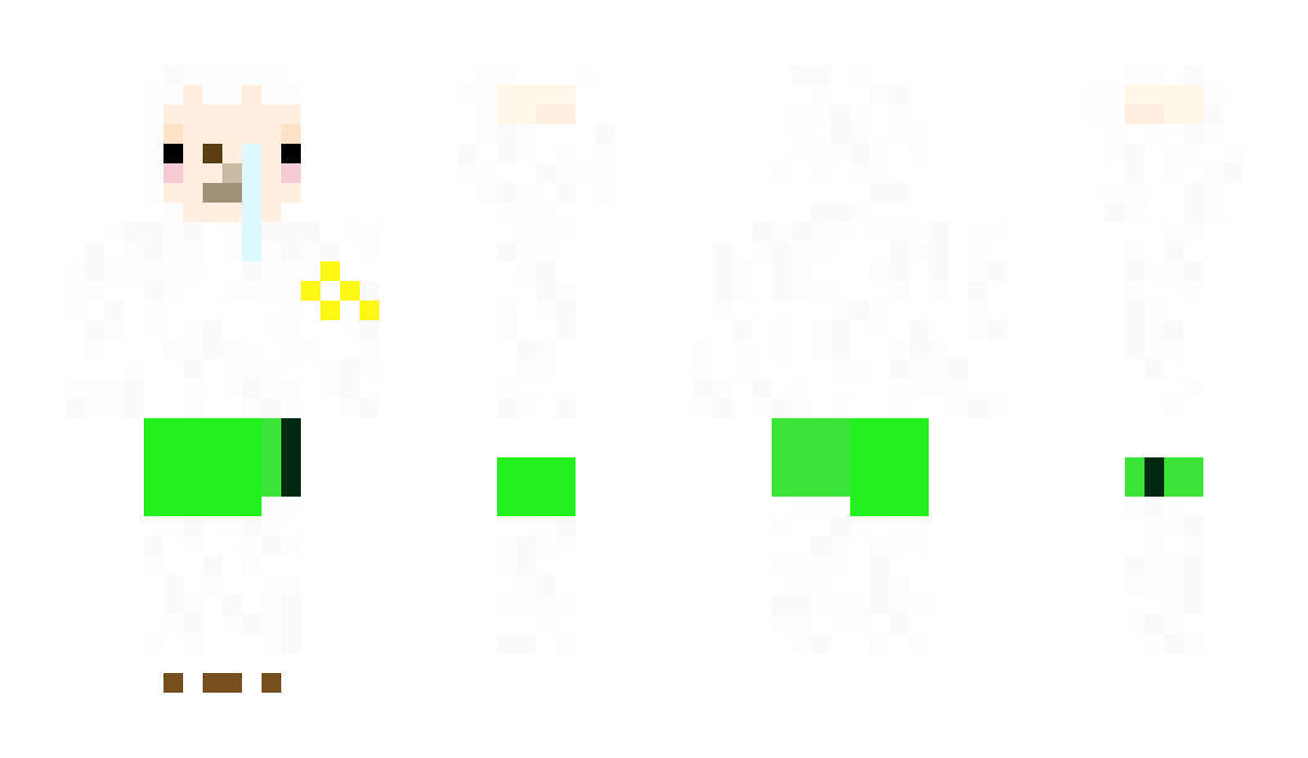 eokddu Minecraft Skin