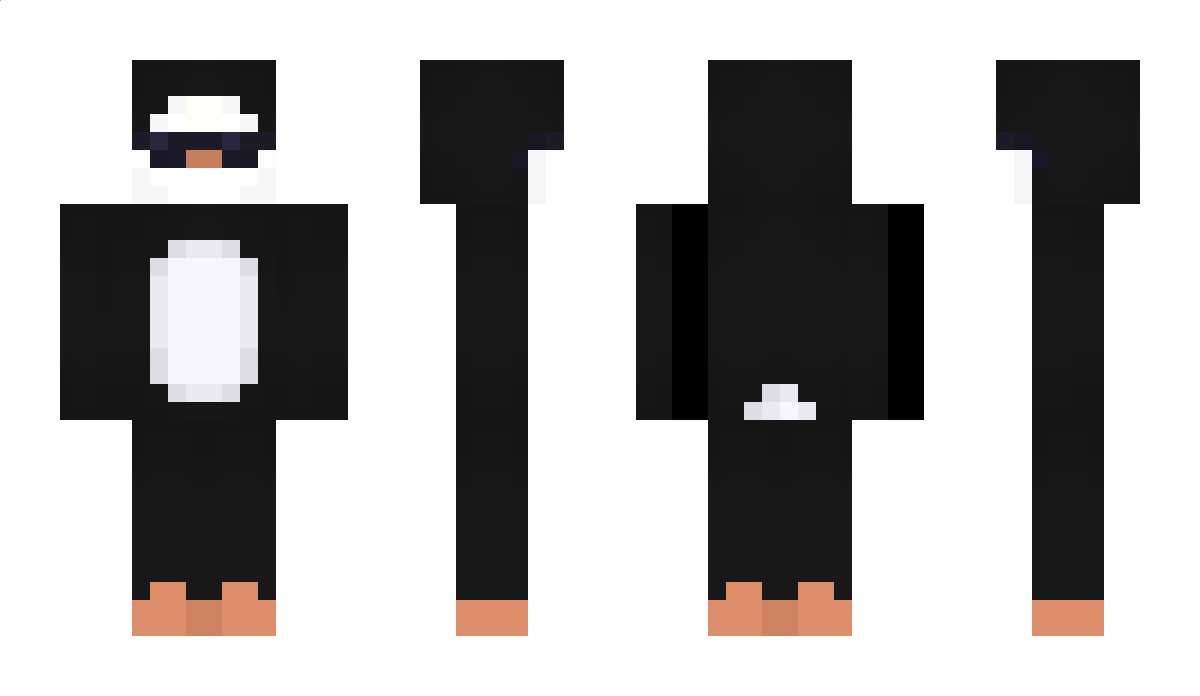 xPingi Minecraft Skin