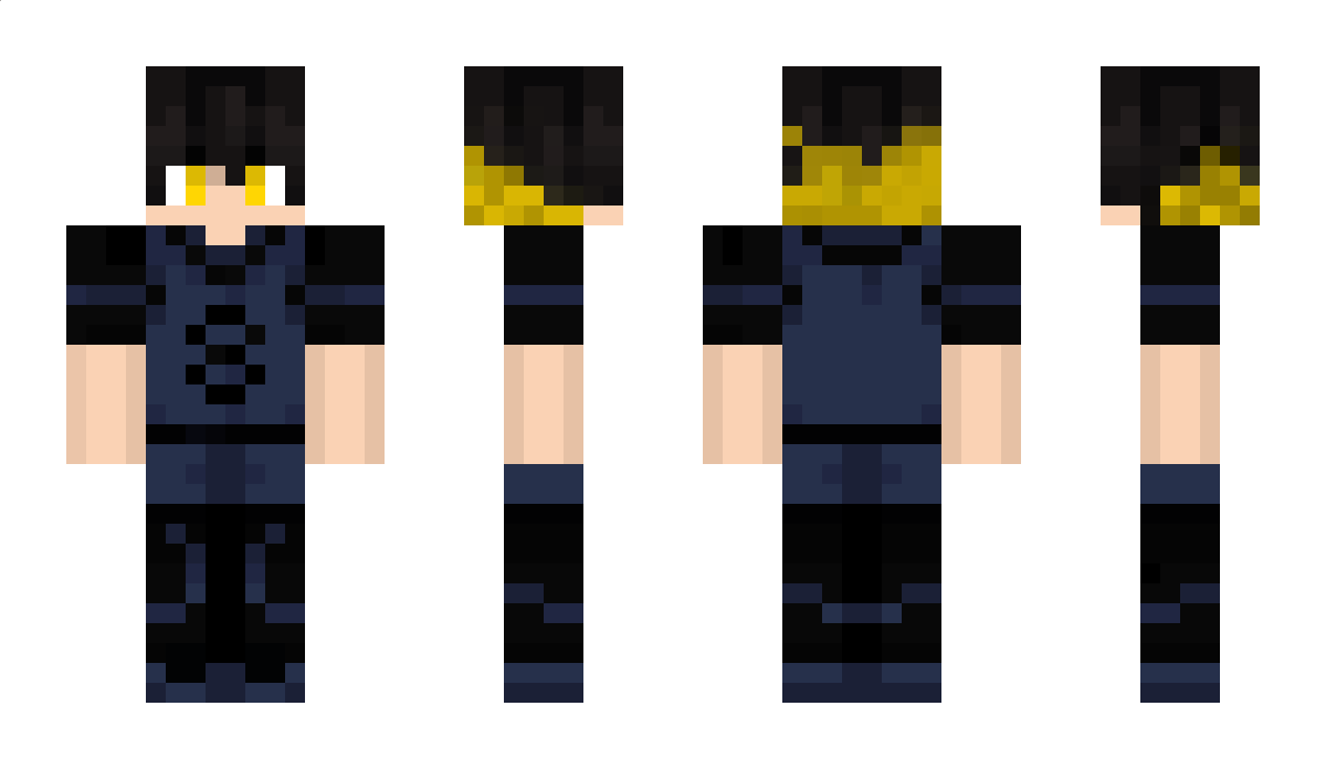 Nikplaa Minecraft Skin