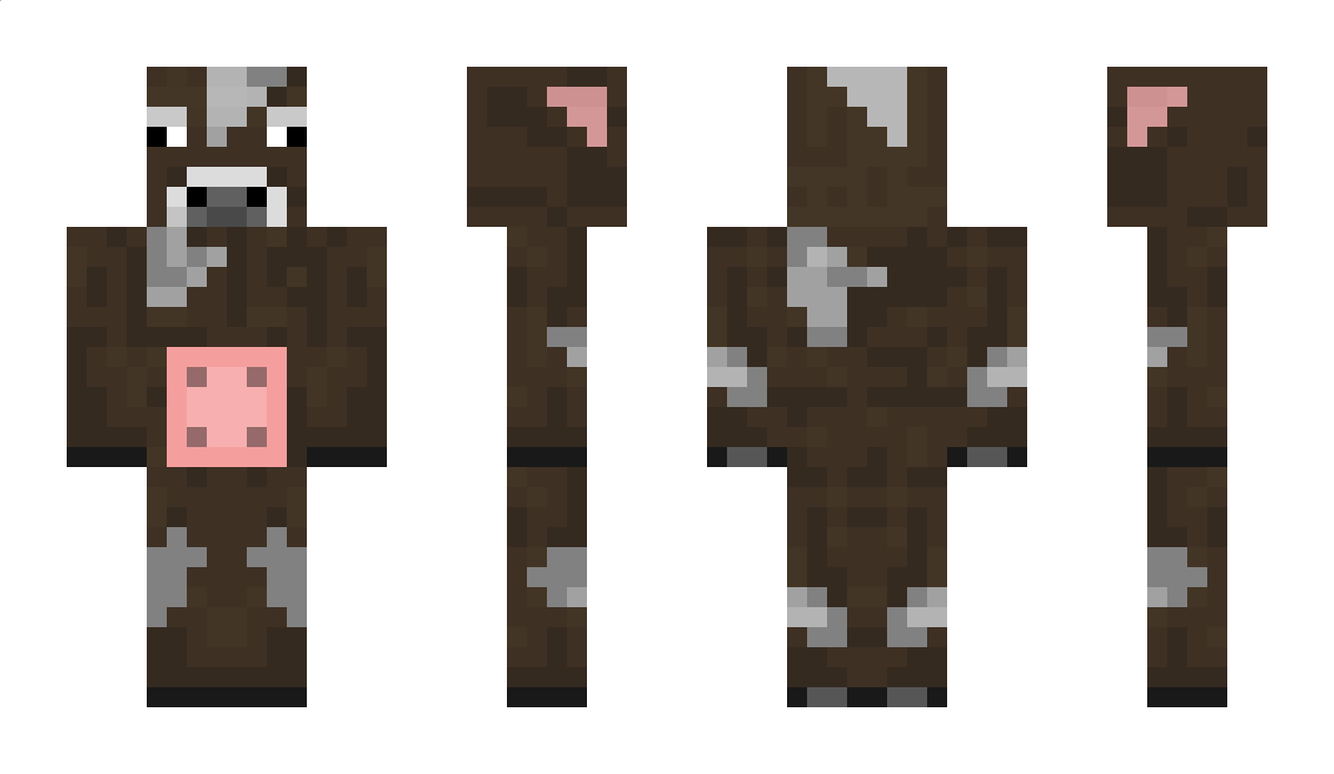 Brrooddyy Minecraft Skin