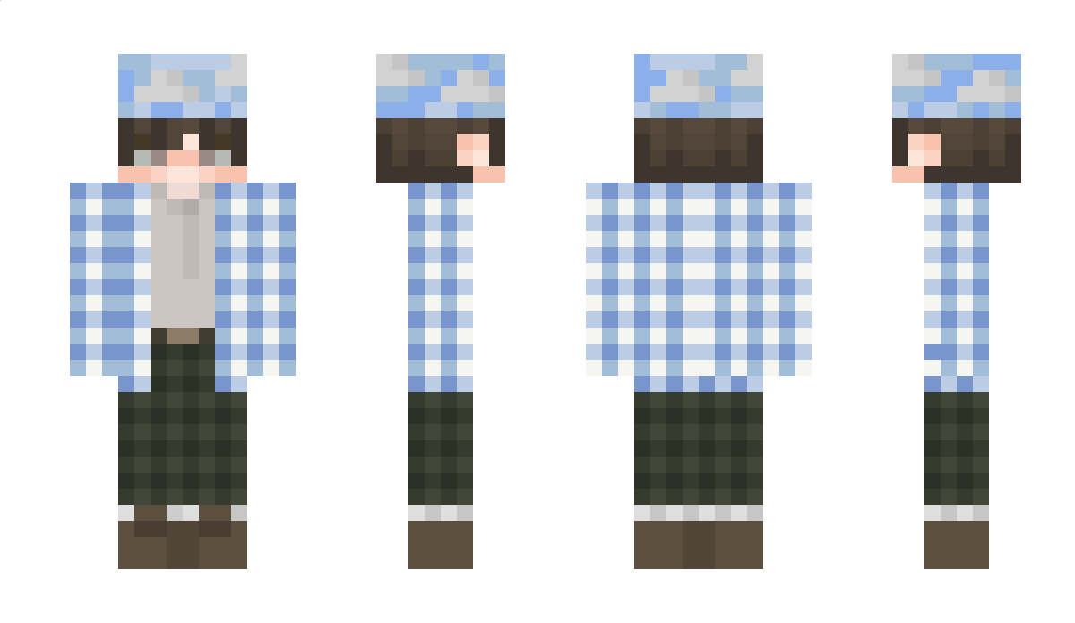 Signalise Minecraft Skin