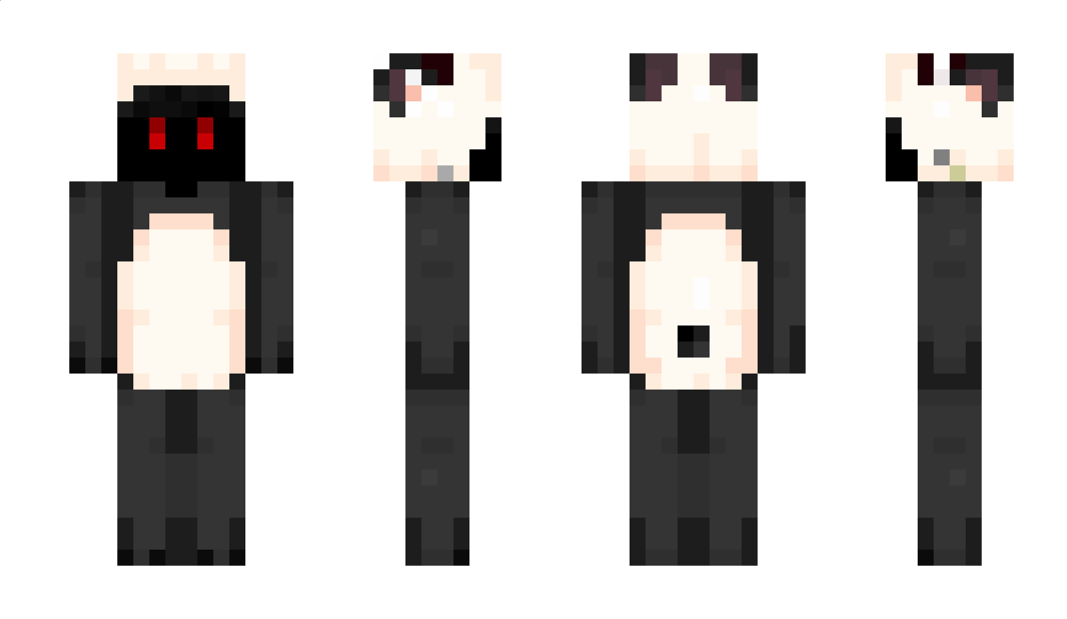 Assassinance Minecraft Skin