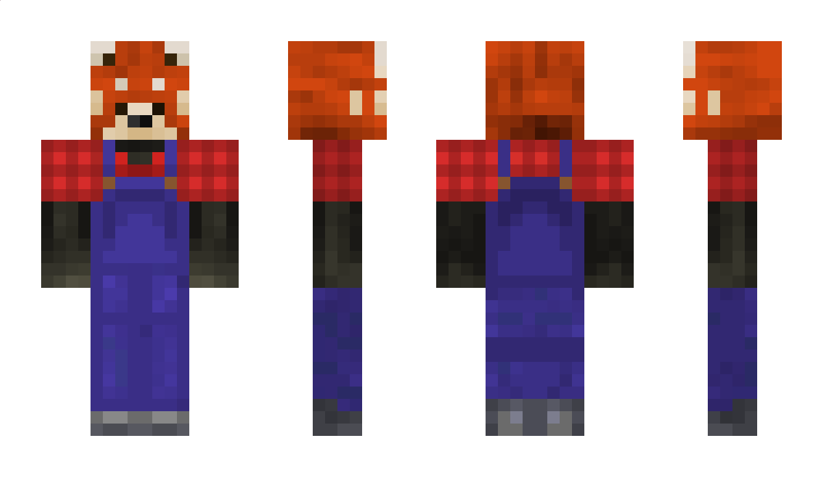 Co0kiePanda Minecraft Skin