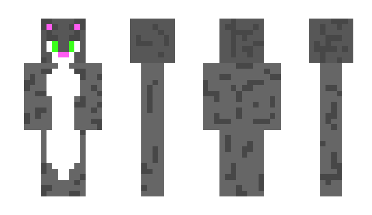 GreyKitty Minecraft Skin