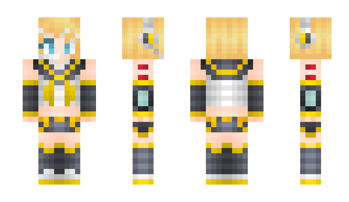 poka Minecraft Skin