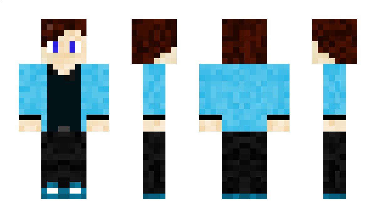 _PoIarized_ Minecraft Skin