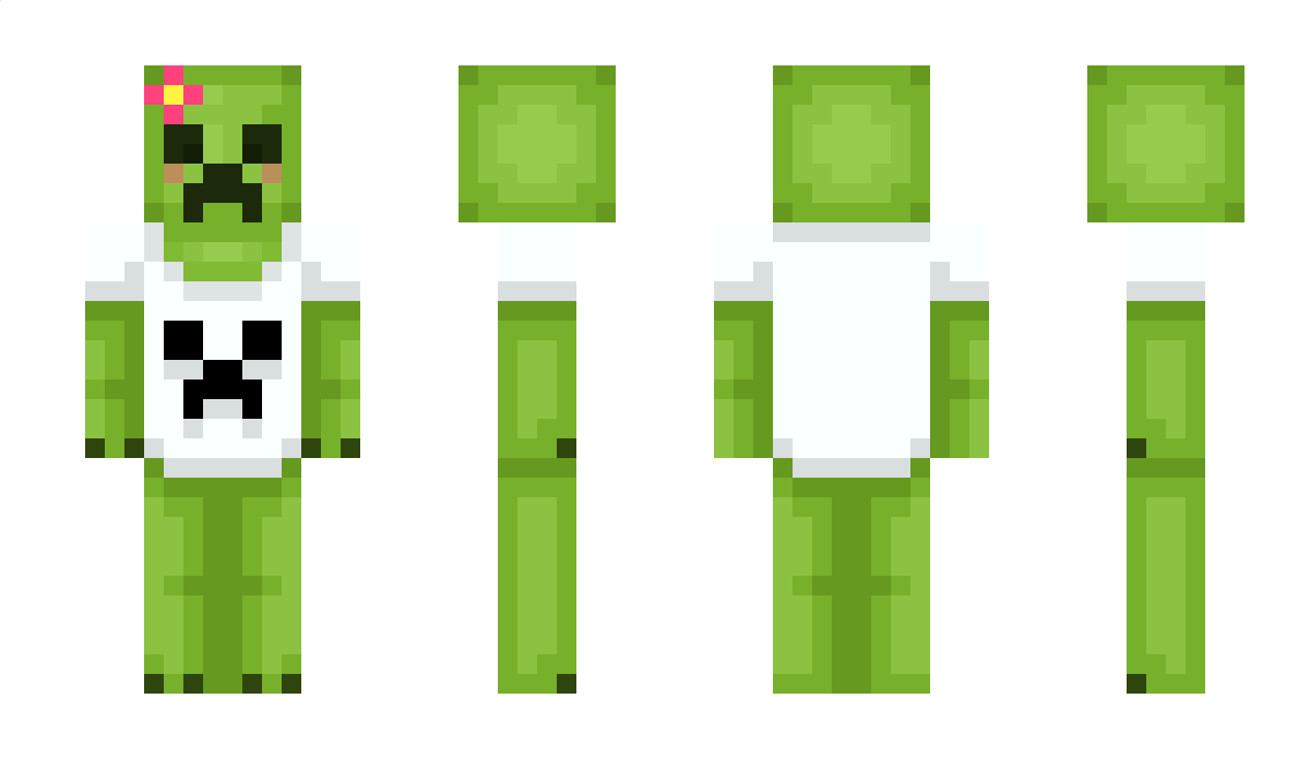 _PSY Minecraft Skin