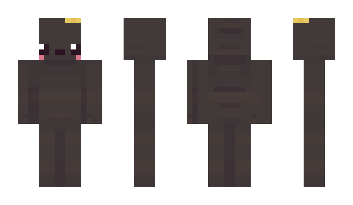 stbe Minecraft Skin