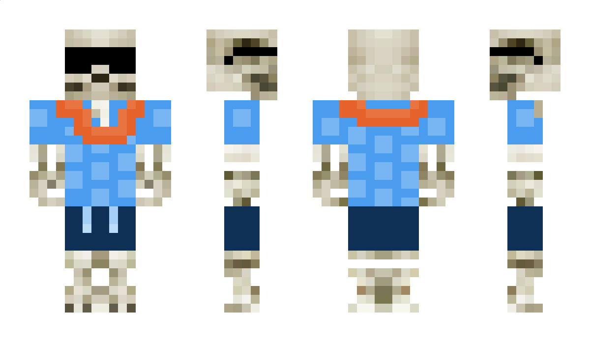 bezet Minecraft Skin