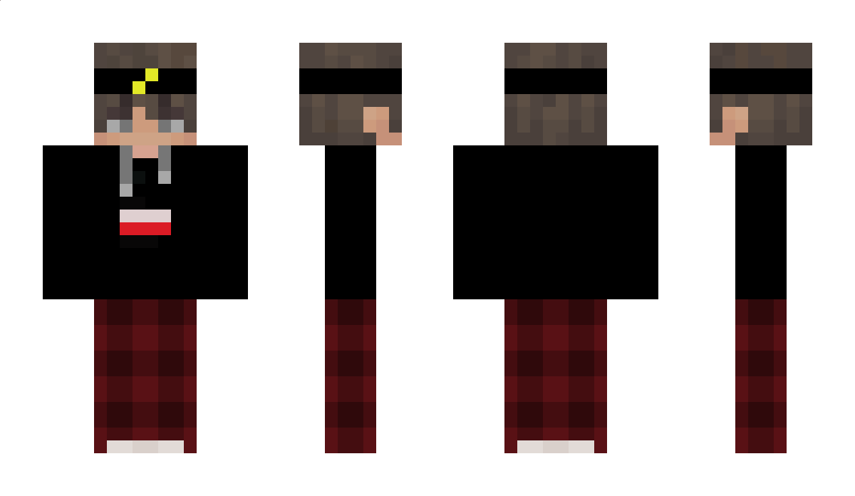 driver_66 Minecraft Skin