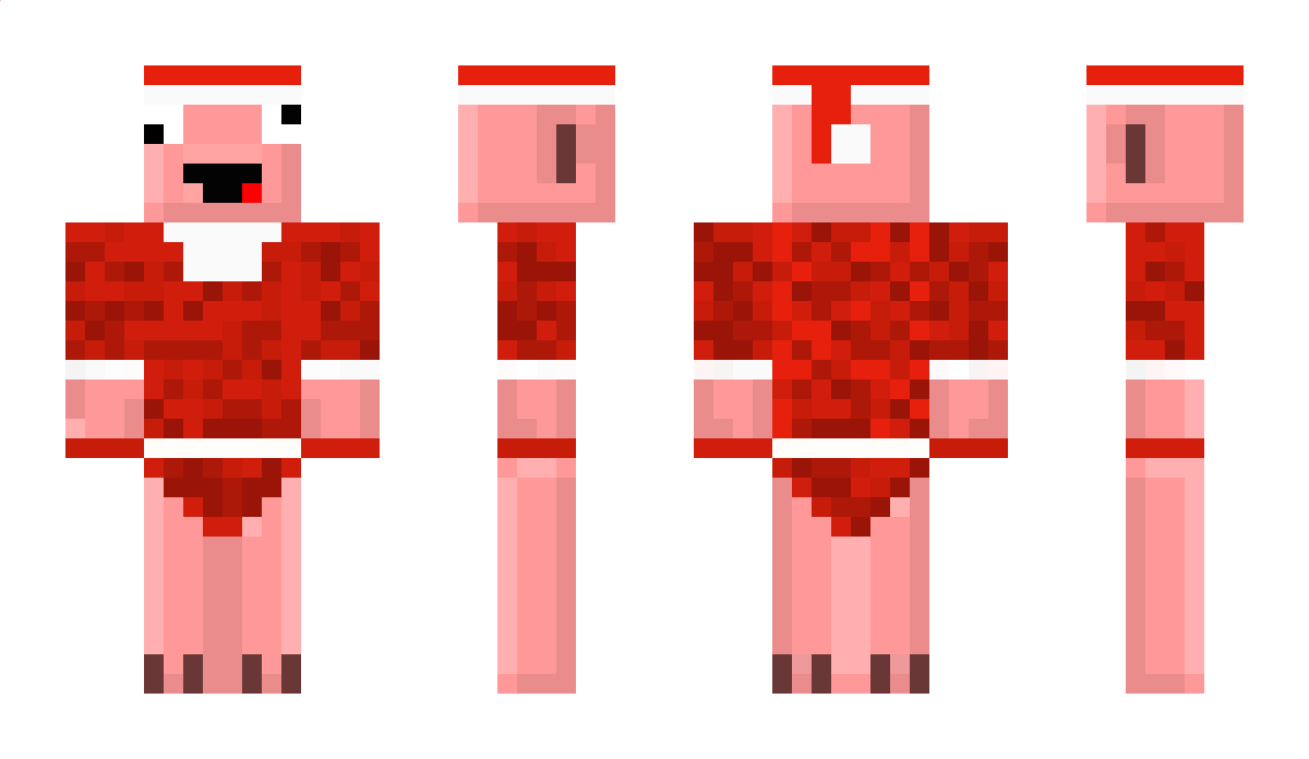 EarthPig Minecraft Skin