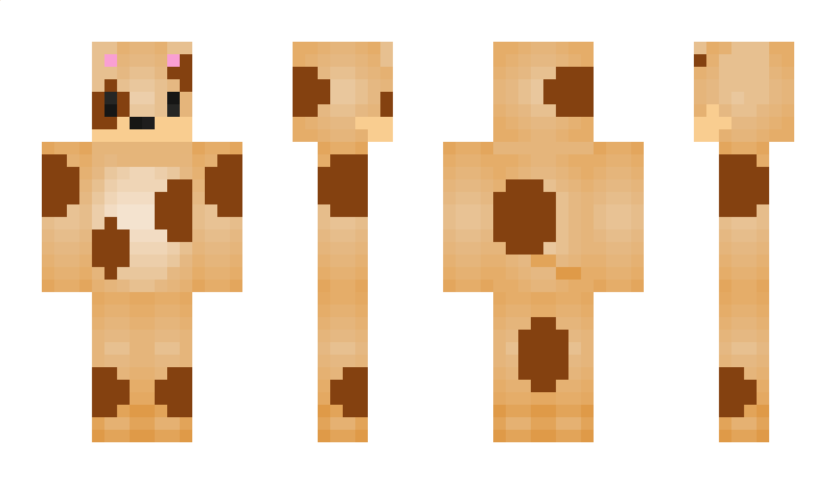 comsucks Minecraft Skin
