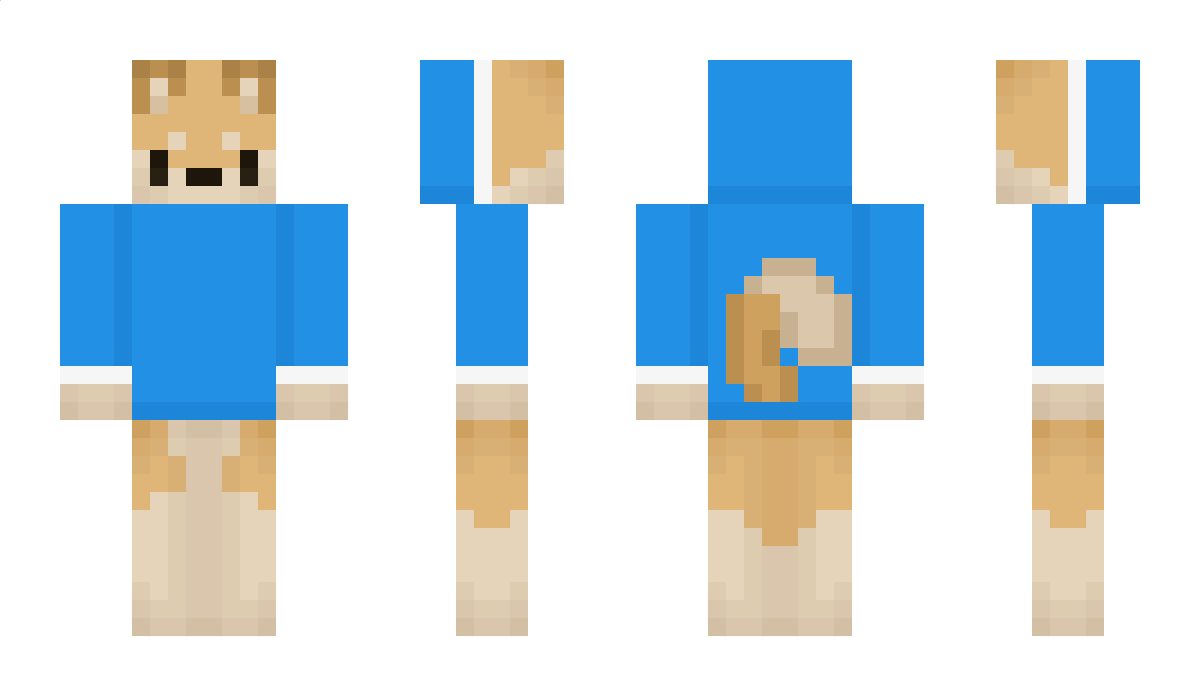 LabradorRetrever Minecraft Skin