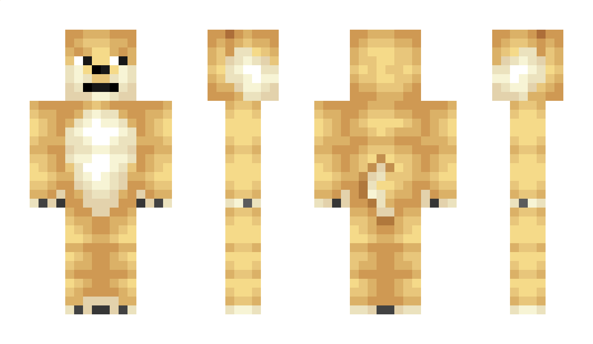 234 Minecraft Skin