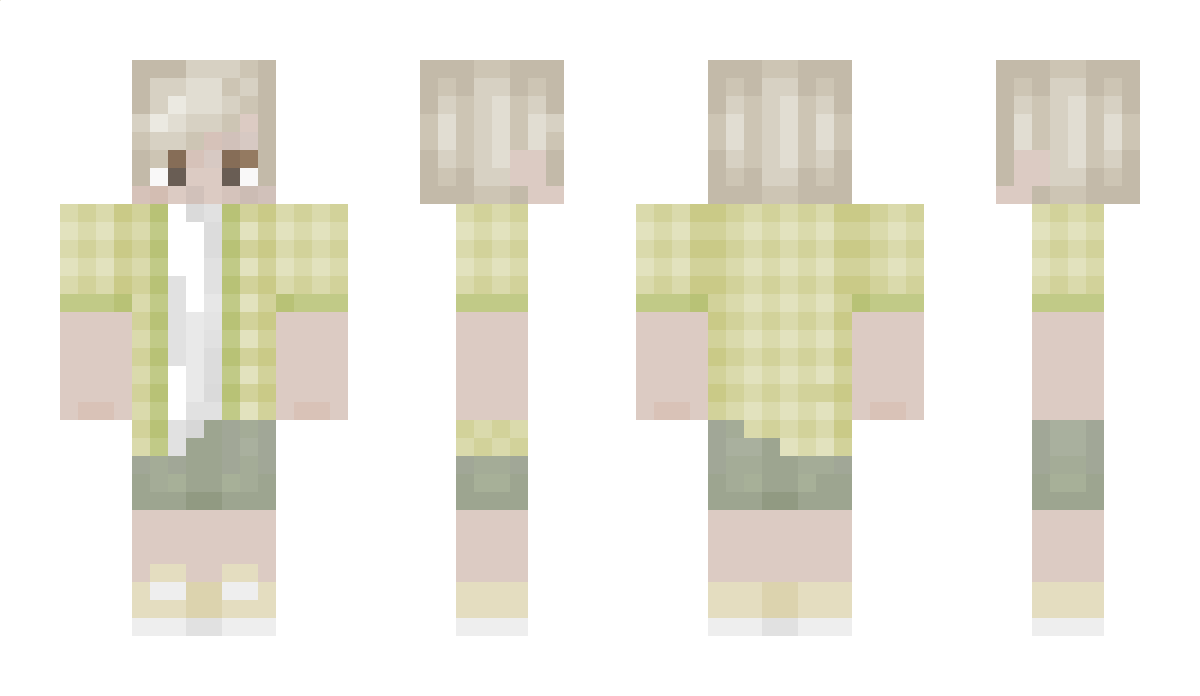 BloxerBoi Minecraft Skin