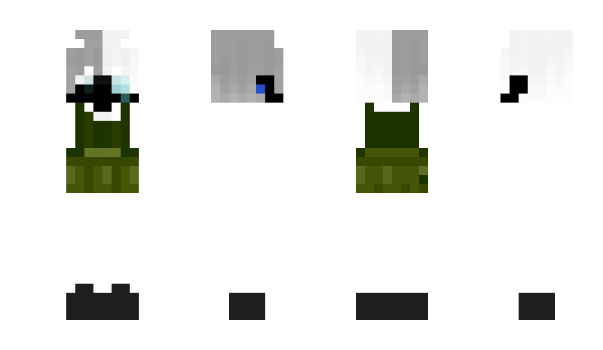 PinguLL Minecraft Skin