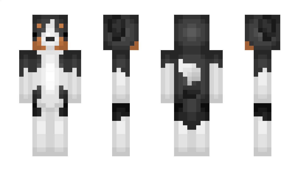 TwoBrick6019537 Minecraft Skin