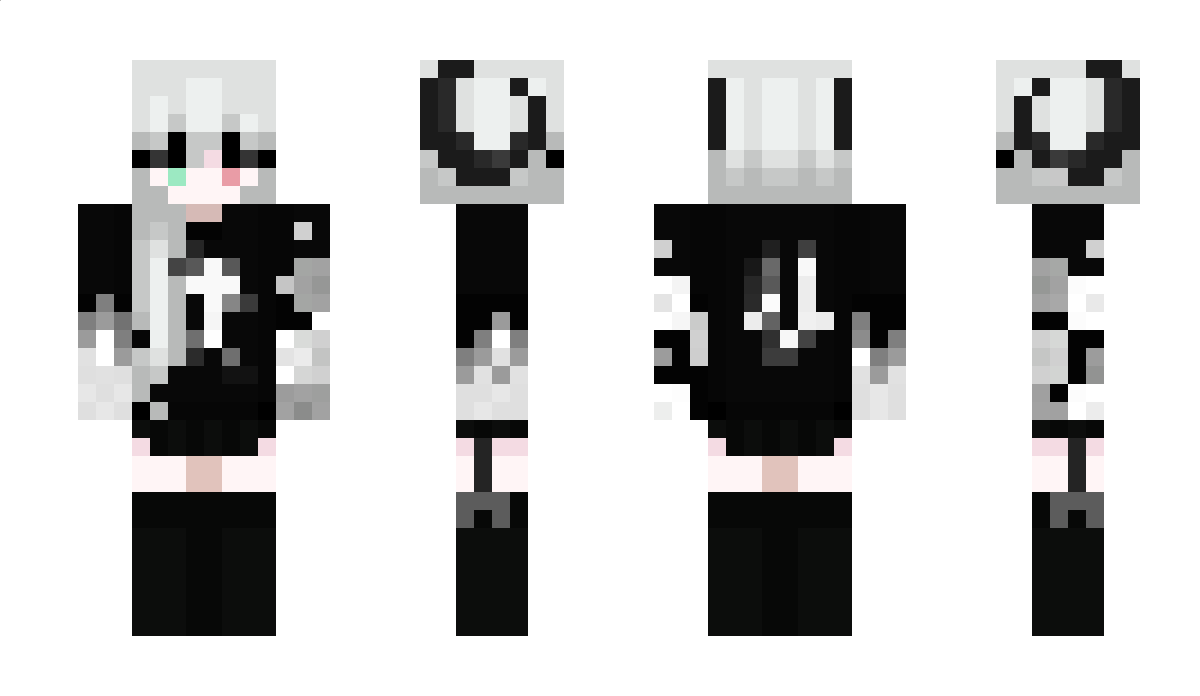 MiniCircles Minecraft Skin