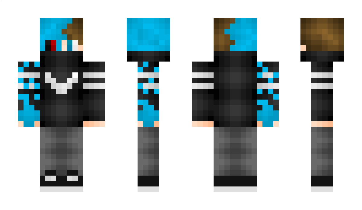 dw23 Minecraft Skin