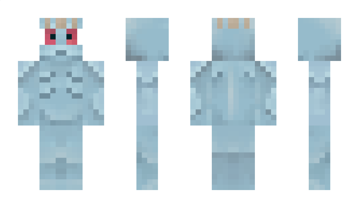 Flowet Minecraft Skin