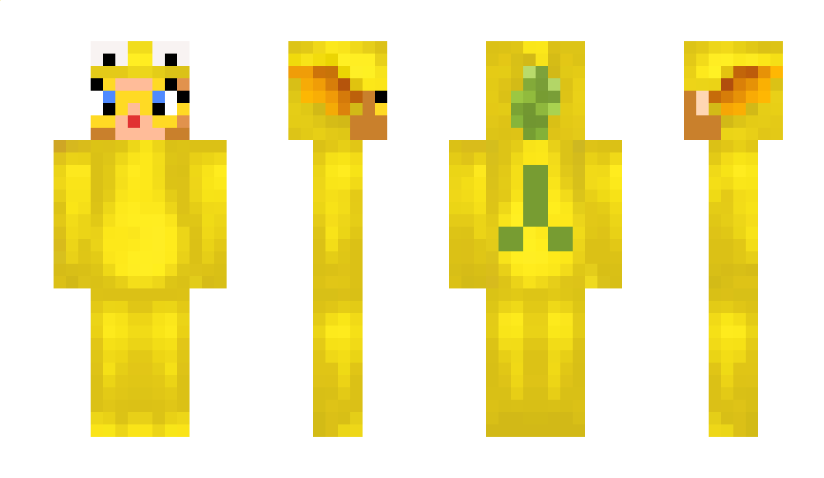 Mydlinkaaa Minecraft Skin