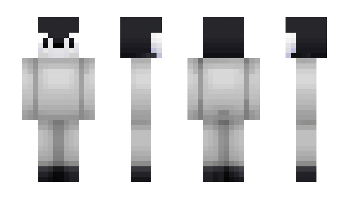 pingi123 Minecraft Skin