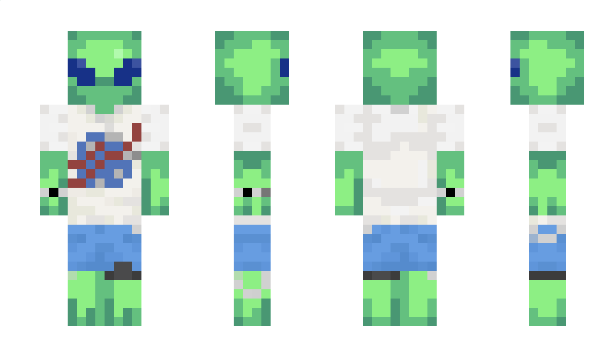 dkfin Minecraft Skin