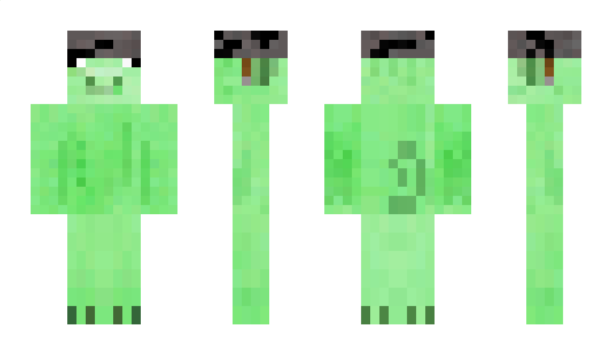 HelmetPig Minecraft Skin