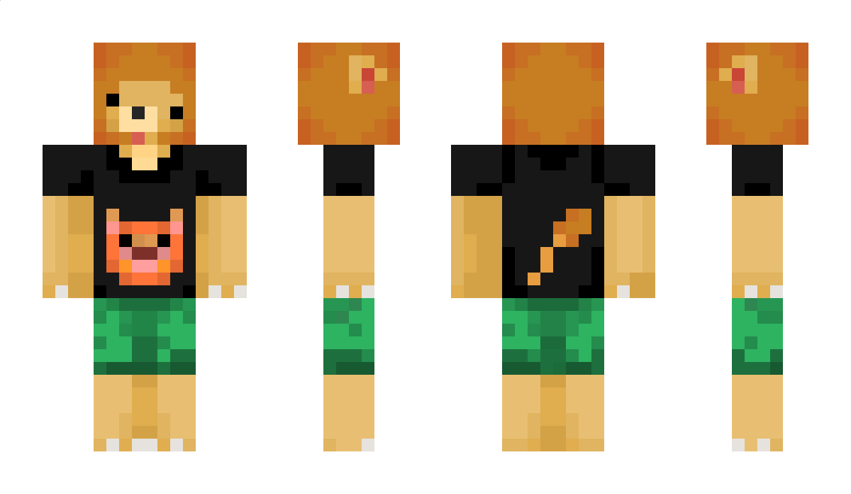 CyneFeather Minecraft Skin
