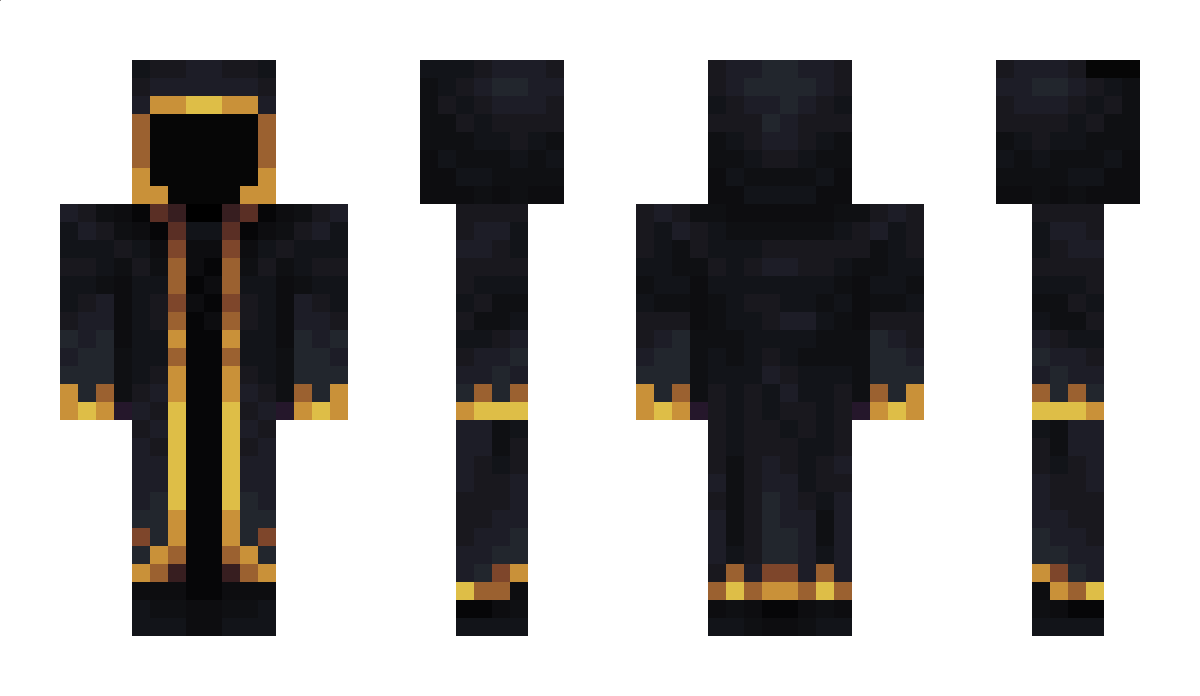 coolcat2911 Minecraft Skin