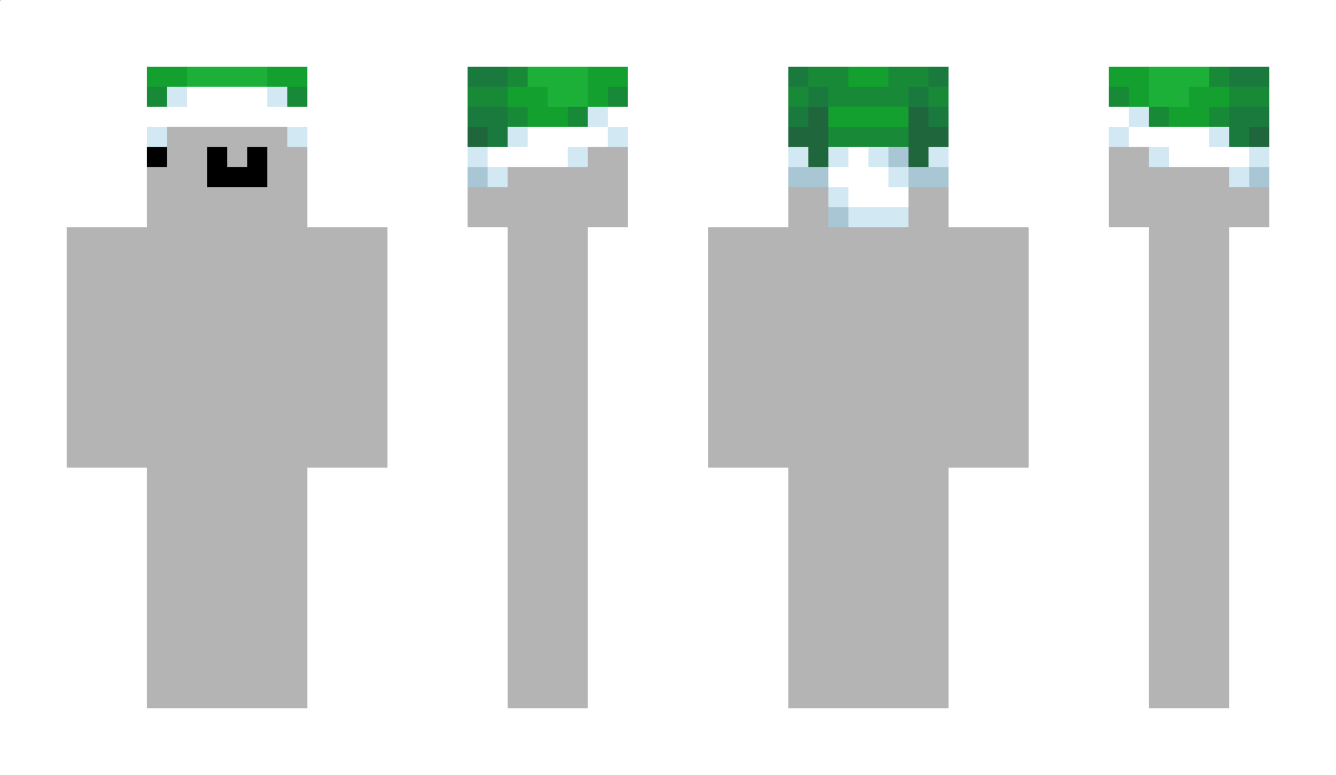 Majstwroo Minecraft Skin