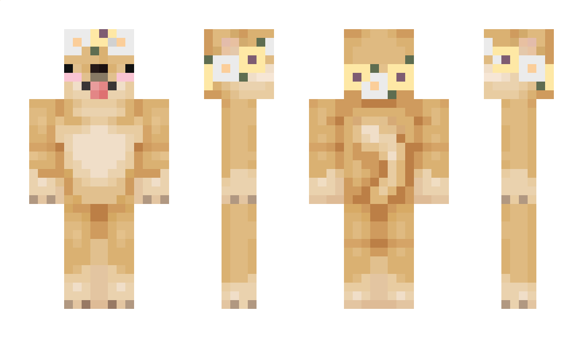 CoolDog_ Minecraft Skin