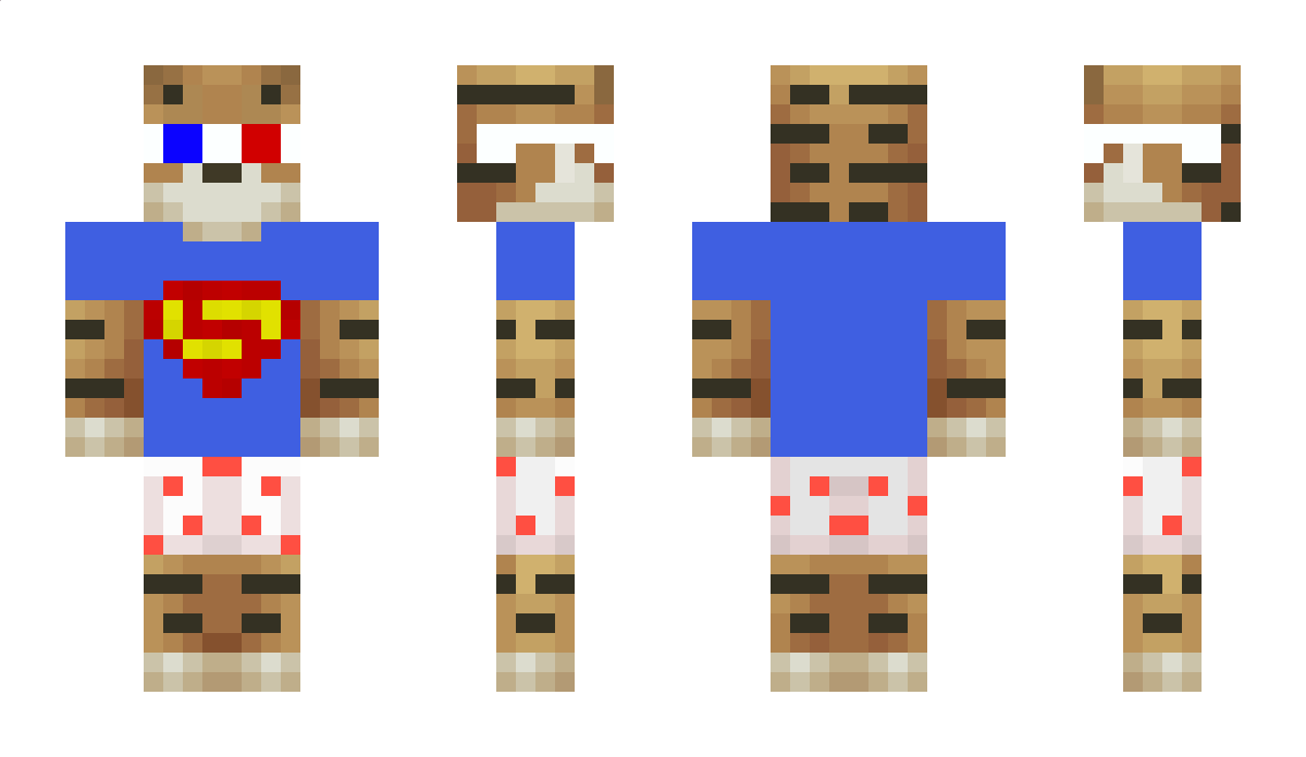 Saylex Minecraft Skin