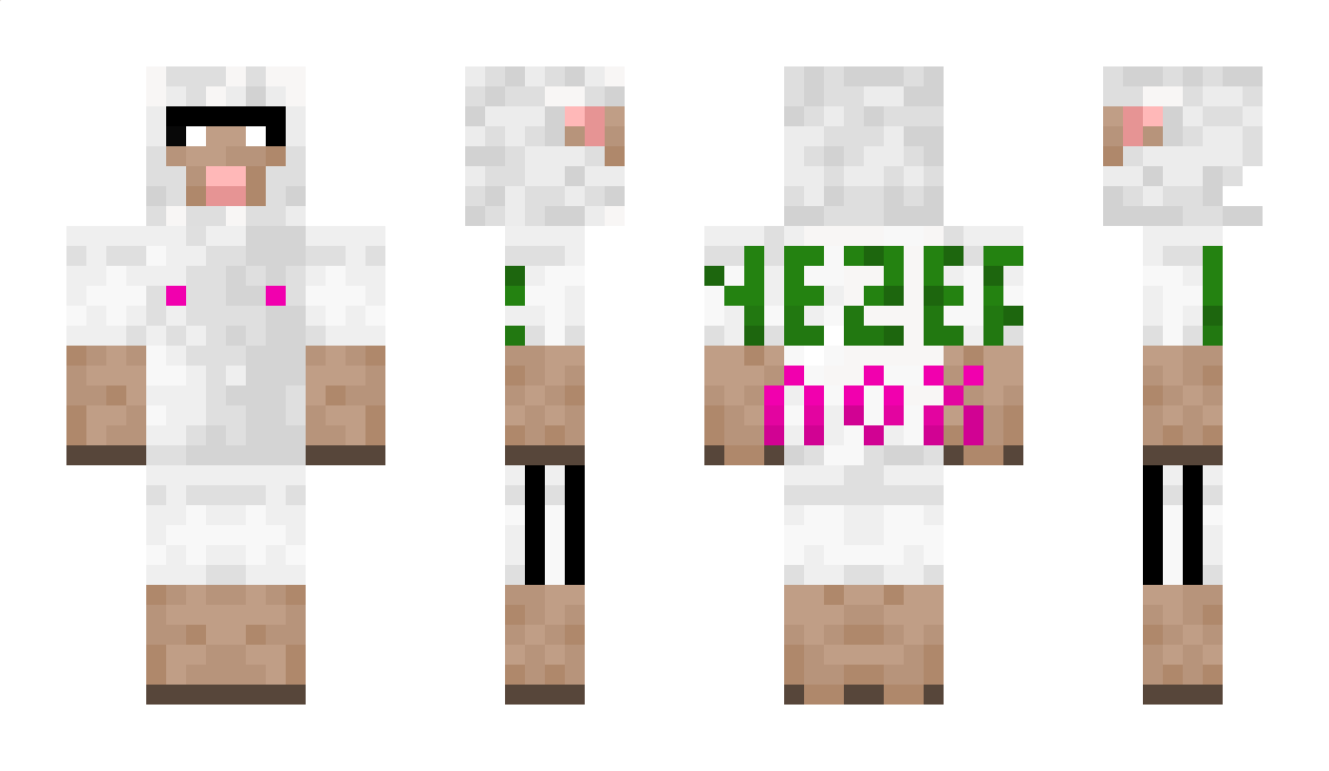 lokira999 Minecraft Skin