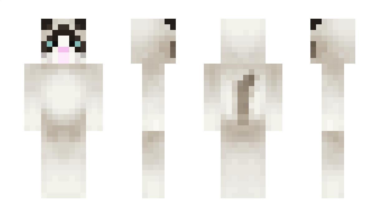 Ninjatrap23 Minecraft Skin