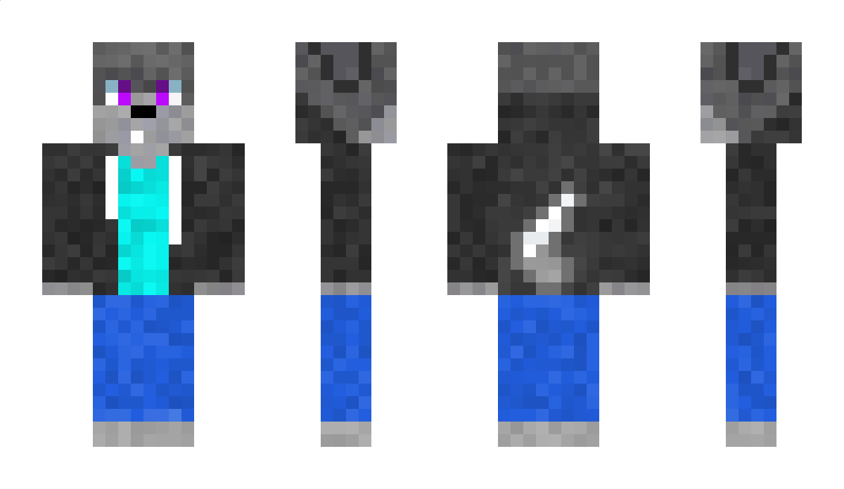 WolfNameEnder Minecraft Skin