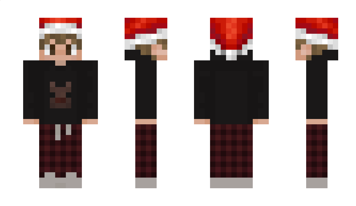 _dummes Minecraft Skin