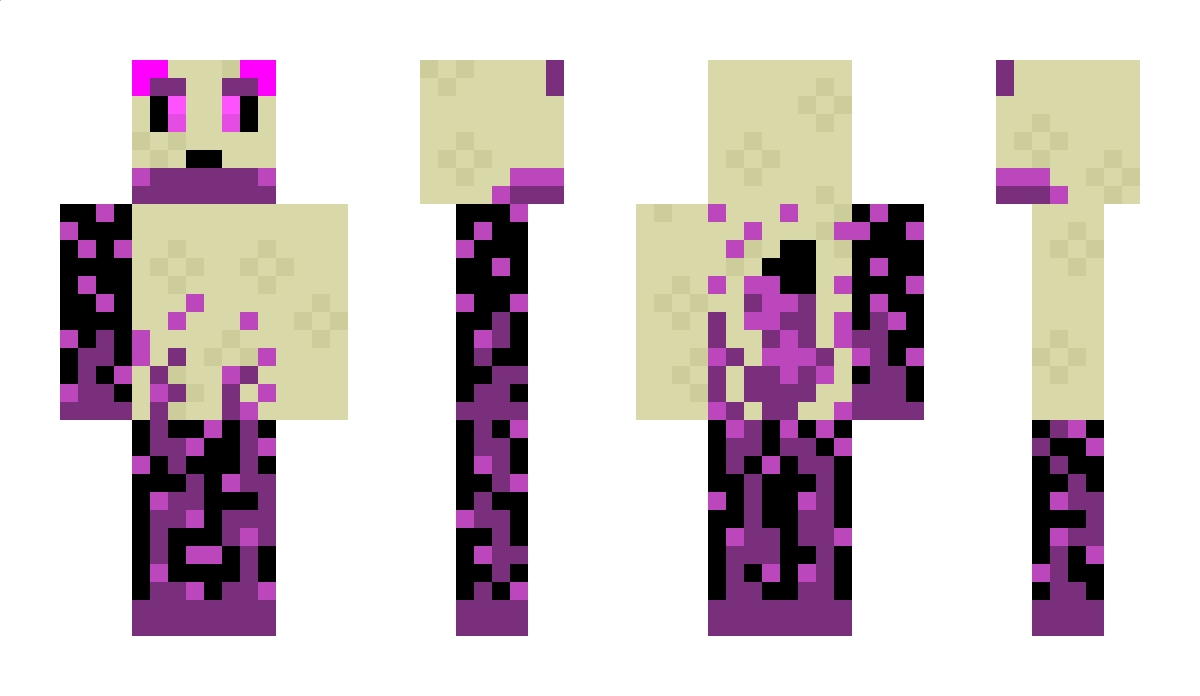 Robolis Minecraft Skin