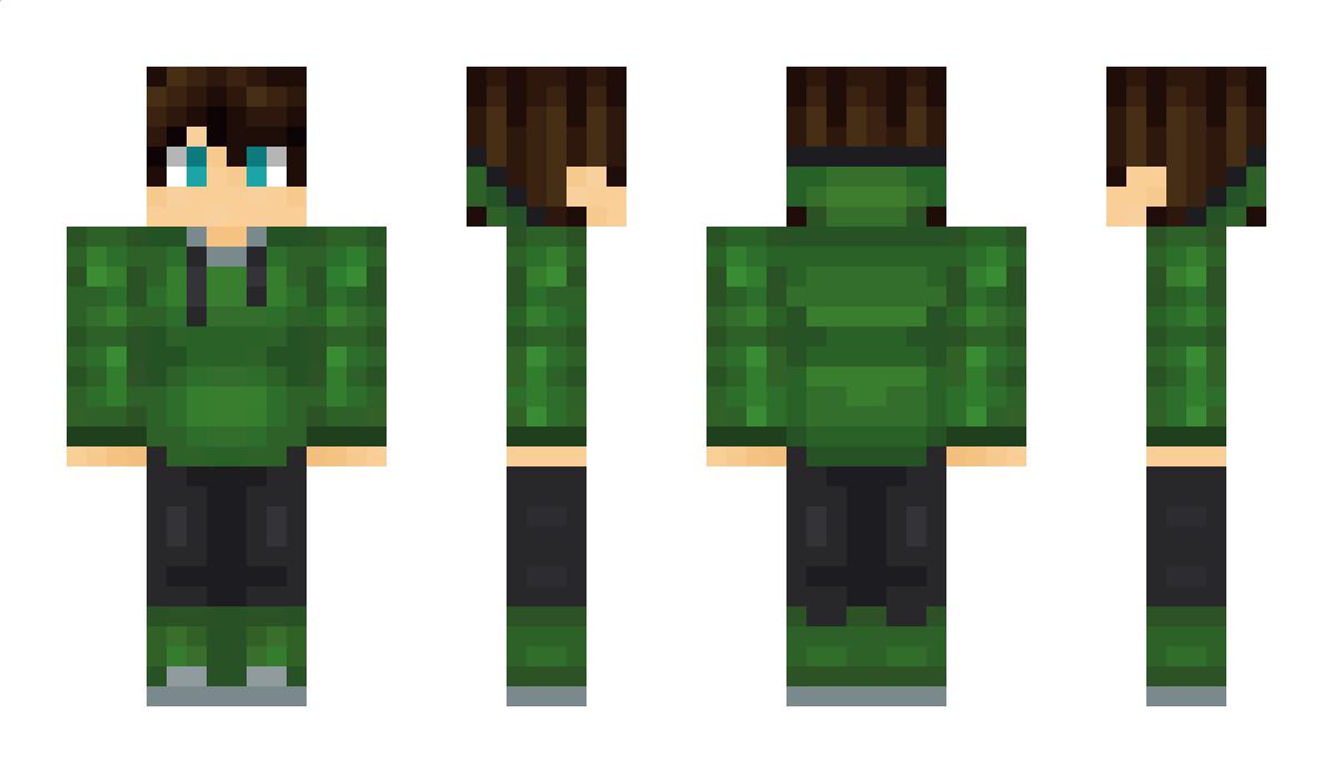 Paitc Minecraft Skin
