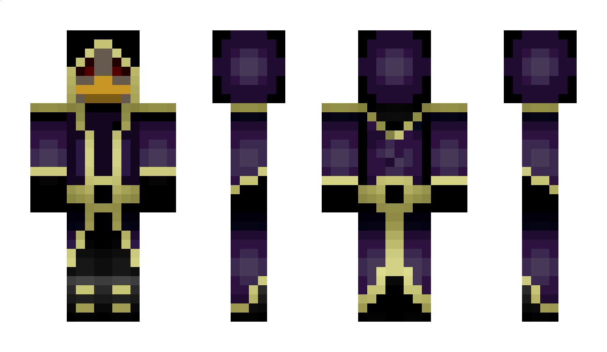 duck_the_mage Minecraft Skin