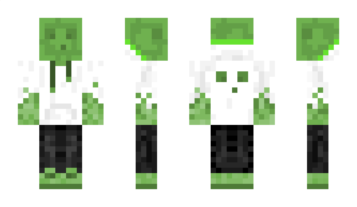 convenimus Minecraft Skin