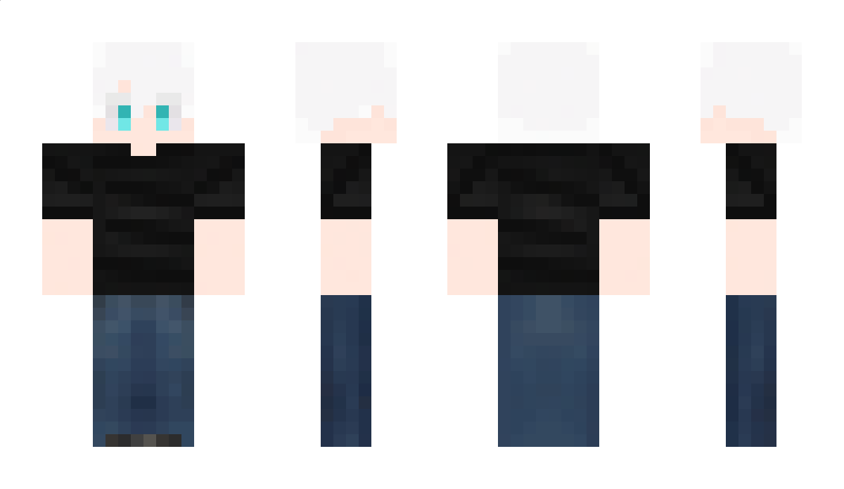 Heiseee Minecraft Skin