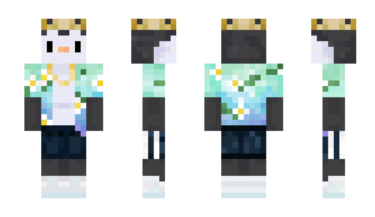rogue_fanatic Minecraft Skin