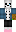 Chanir Minecraft Skin