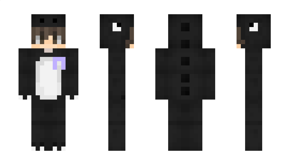 PhilippeDr Minecraft Skin