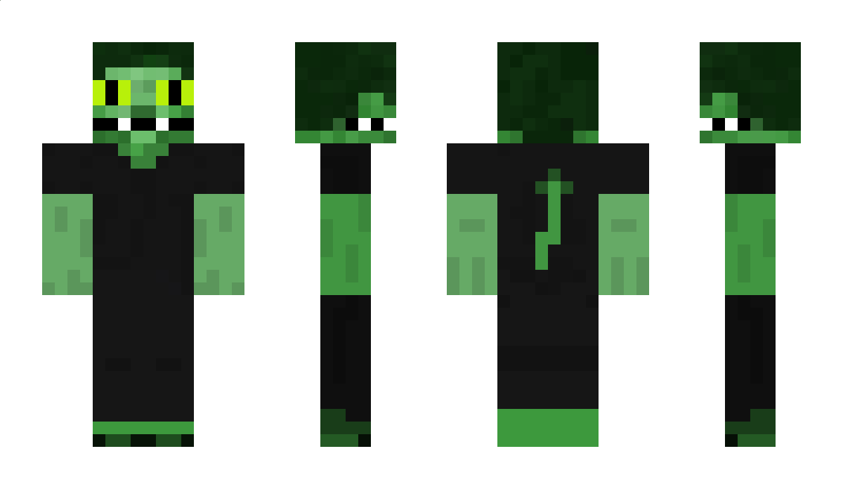 Dragon73 Minecraft Skin
