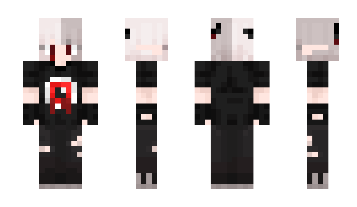 SKIRTINS Minecraft Skin