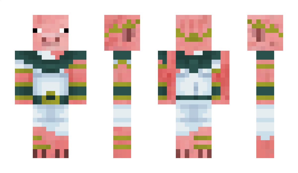 PARAMETRU625 Minecraft Skin