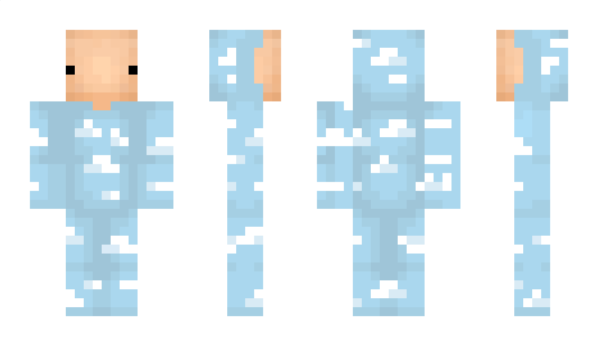 NiceWalls Minecraft Skin