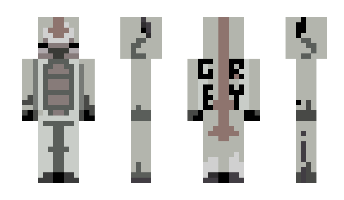 BizonGrey Minecraft Skin